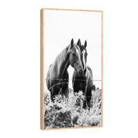 Canvas Caballos en compañía