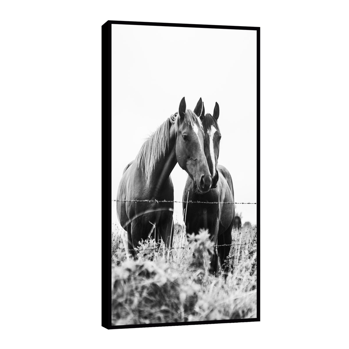 Canvas Caballos en compañía