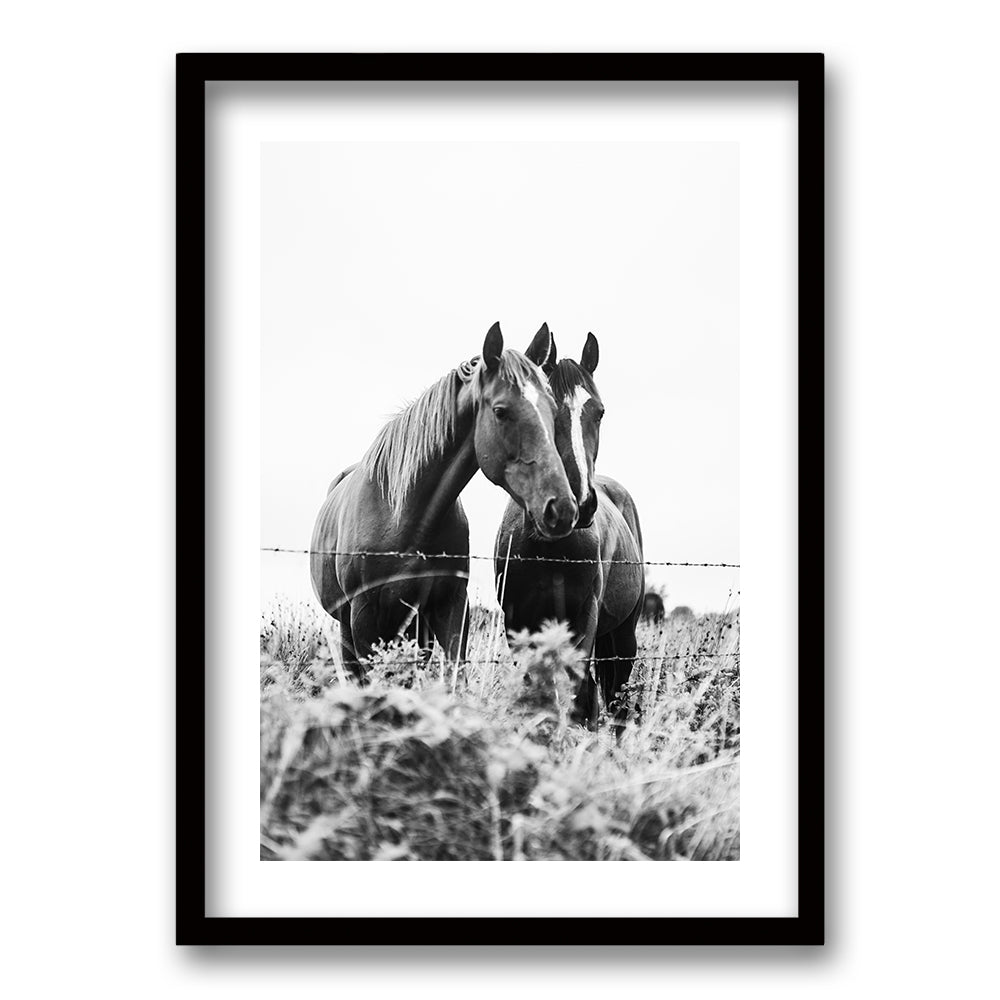 Cuadro Caballos en compañía