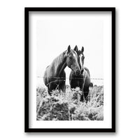 Cuadro Caballos en compañía