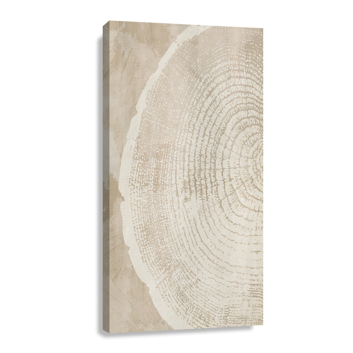Canvas Silueta de Arbol