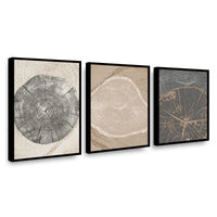 Canvas Trio Crecimiento en Matices