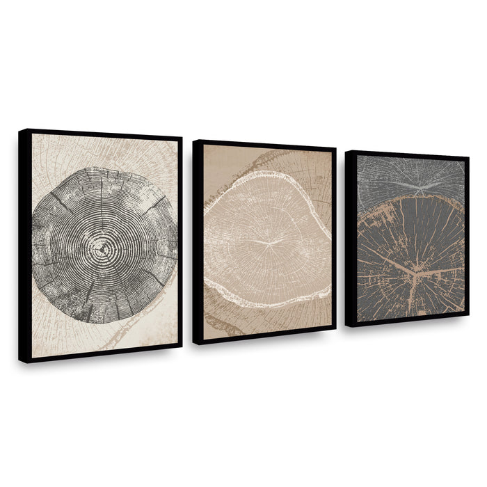 Canvas Trio Crecimiento en Matices