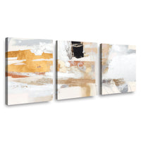 Canvas Trio Abstrac
