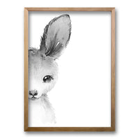 Cuadro Animals