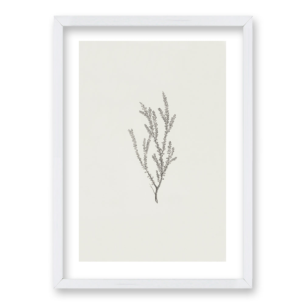 Cuadro Minimal Plants II