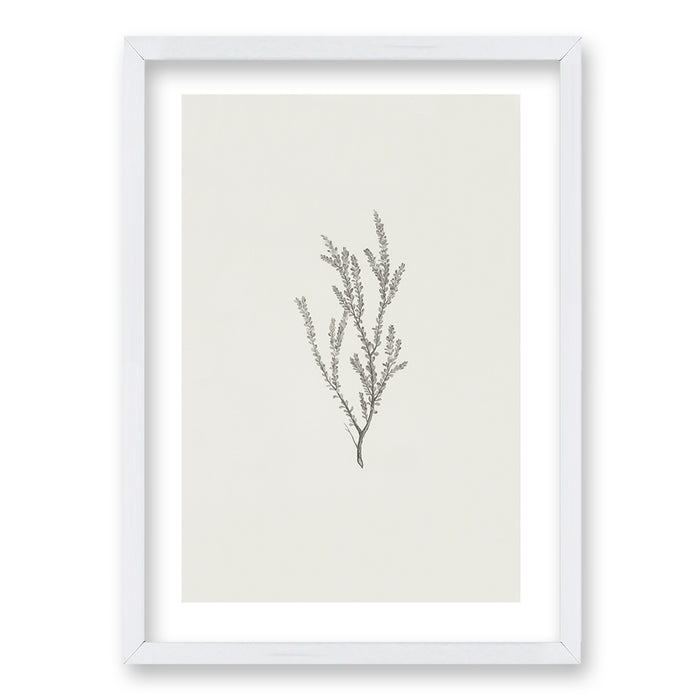Cuadro Minimal Plants II