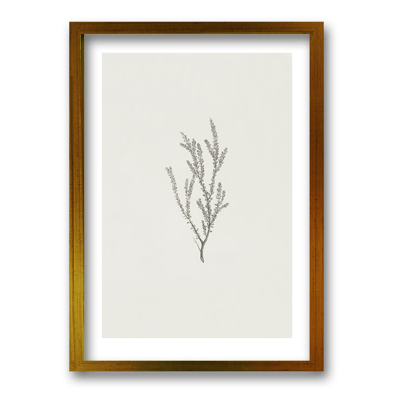 Cuadro Minimal Plants II