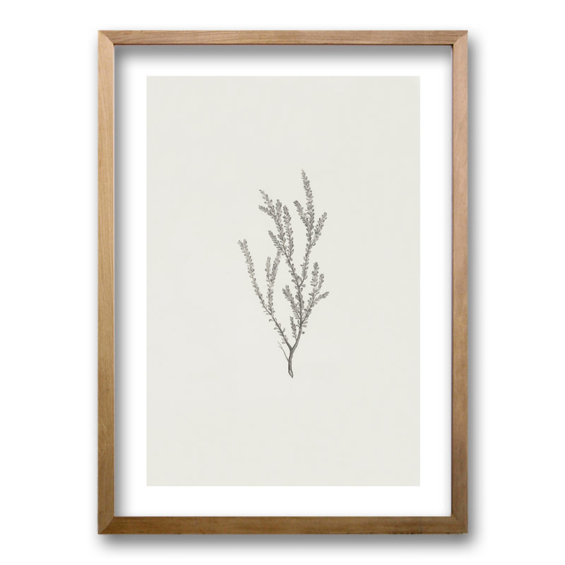 Cuadro Minimal Plants II