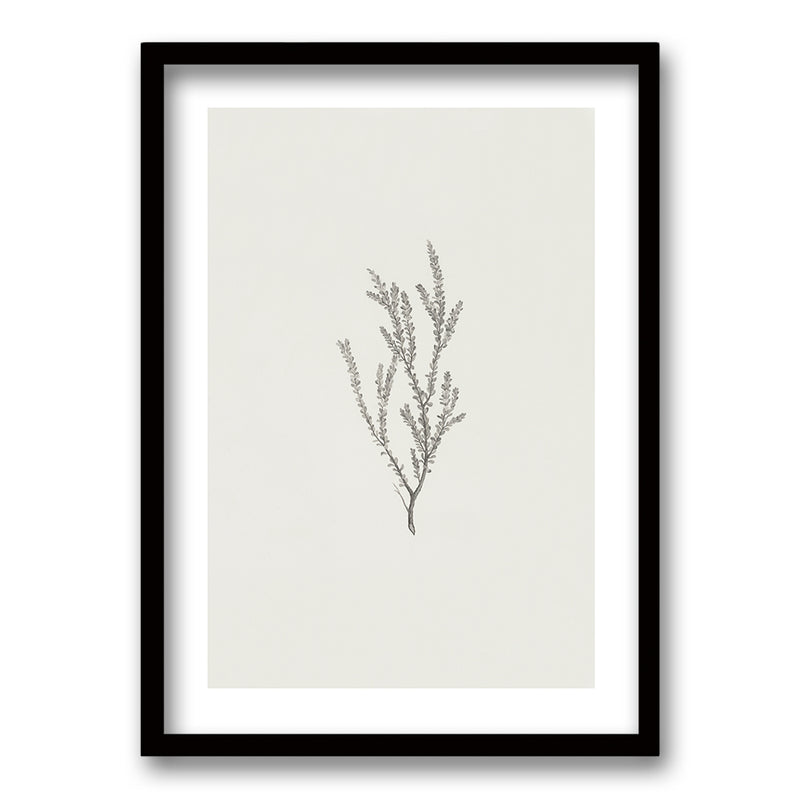 Cuadro Minimal Plants II