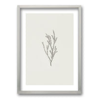 Cuadro Minimal Plants II