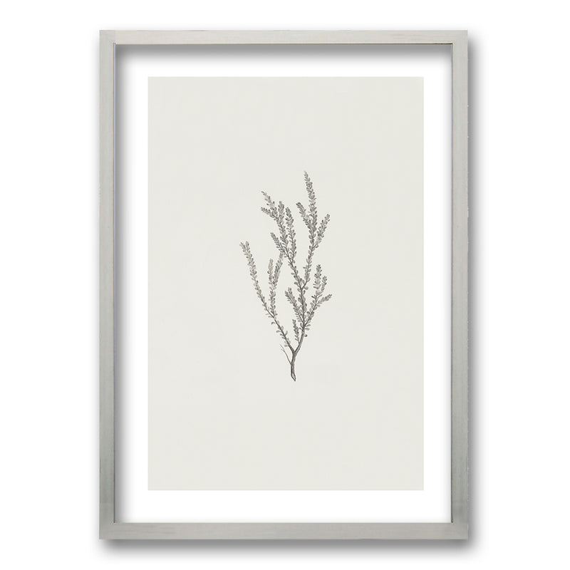 Cuadro Minimal Plants II