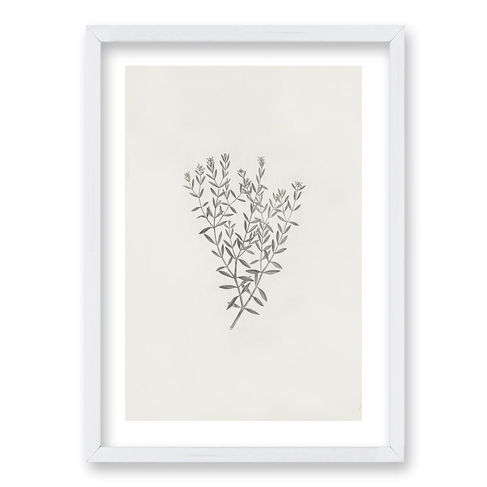 Cuadro Minimal Plants III