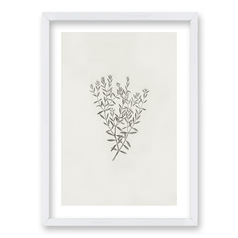 Cuadro Minimal Plants III