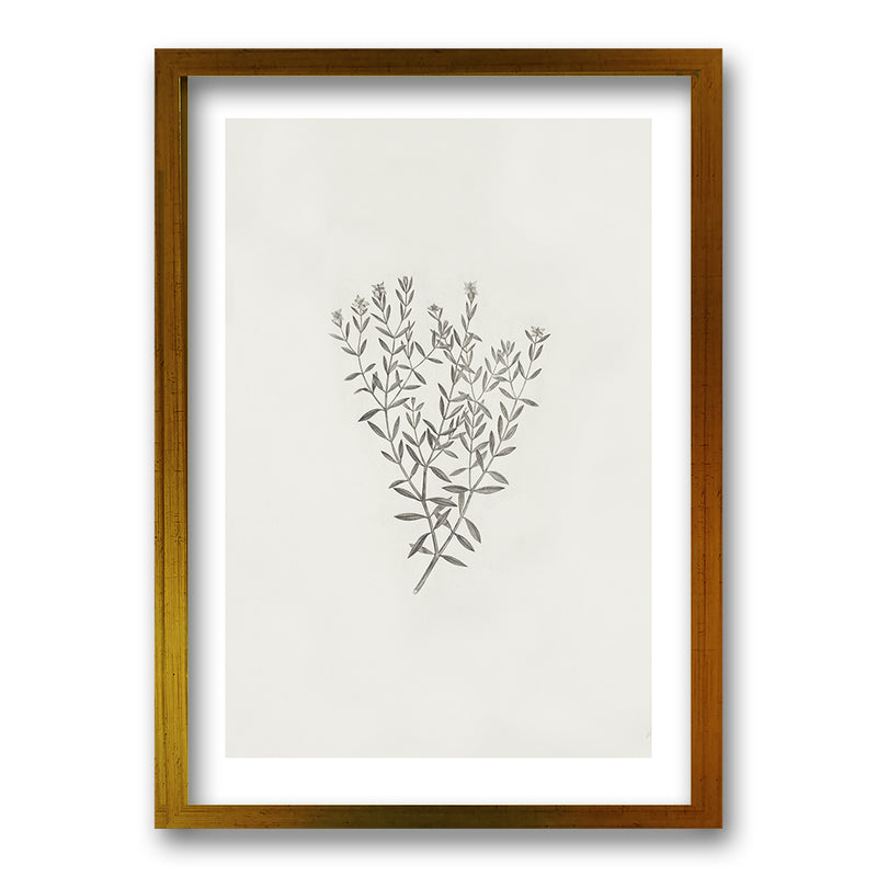 Cuadro Minimal Plants III