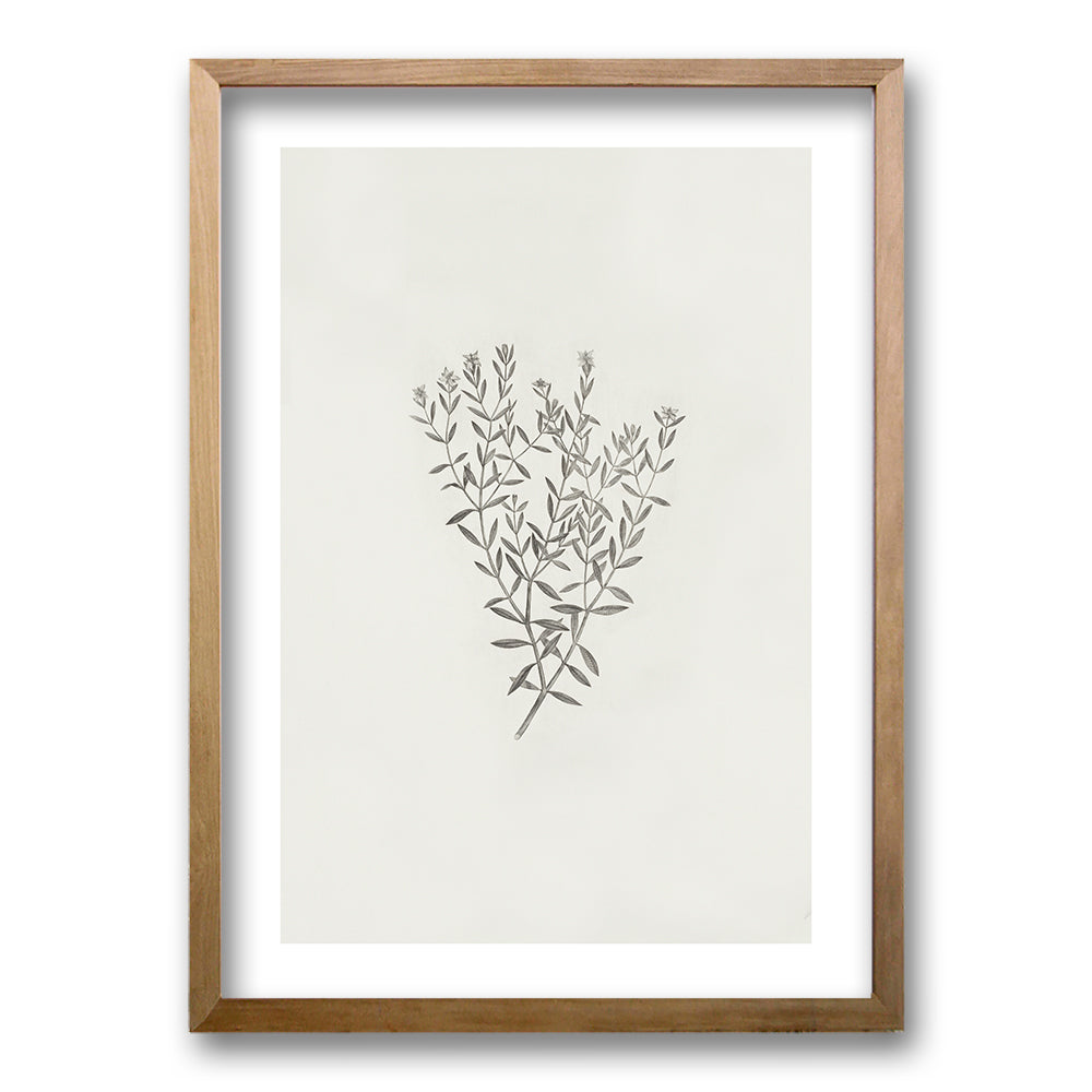 Cuadro Minimal Plants III