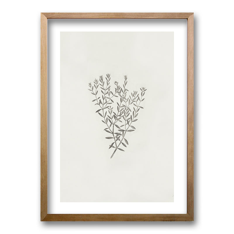 Cuadro Minimal Plants III