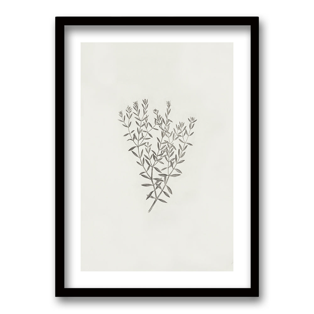 Cuadro Minimal Plants III