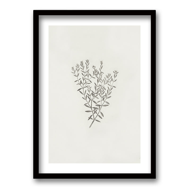 Cuadro Minimal Plants III