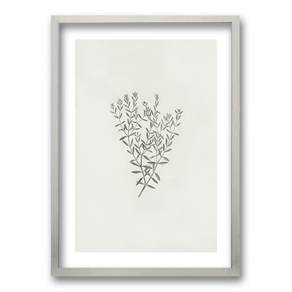 Cuadro Minimal Plants III