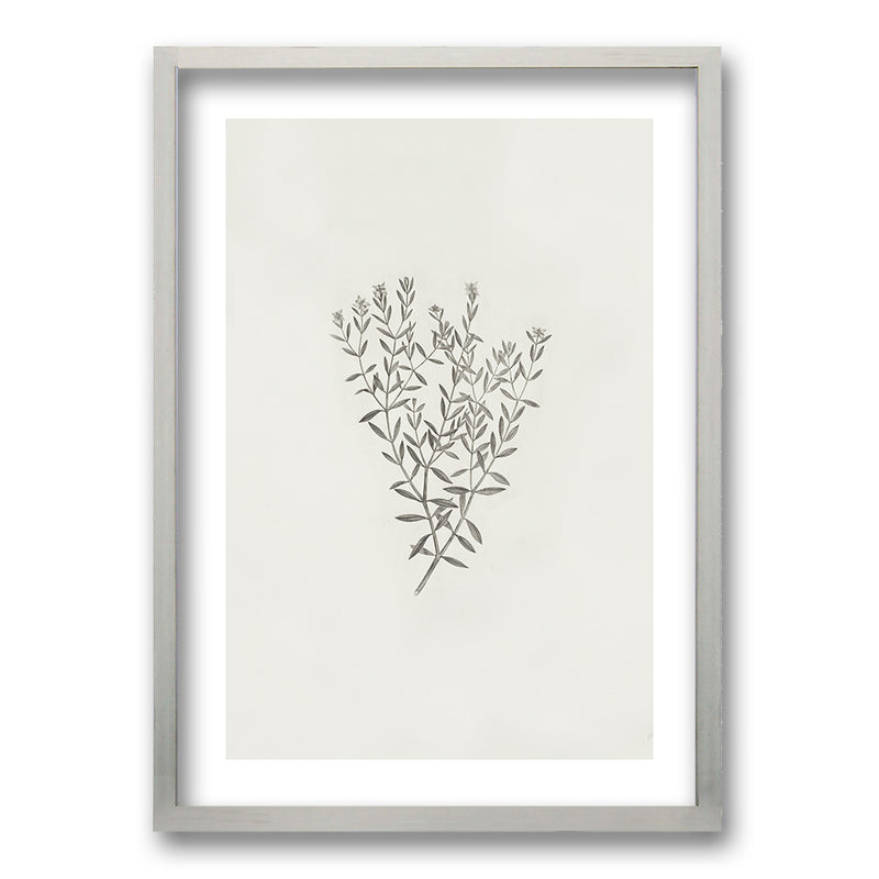 Cuadro Minimal Plants III