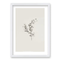 Cuadro Minimal Plants