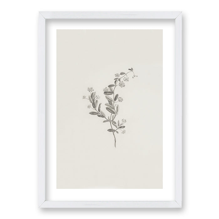 Cuadro Minimal Plants