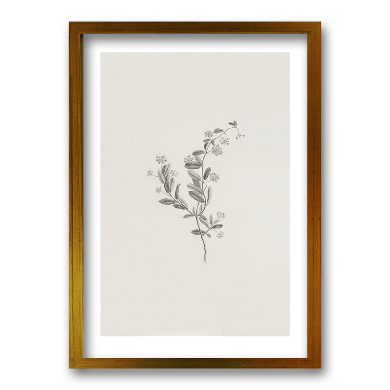 Cuadro Minimal Plants