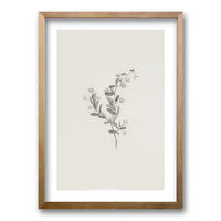 Cuadro Minimal Plants
