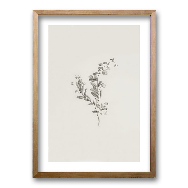 Cuadro Minimal Plants