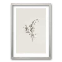 Cuadro Minimal Plants