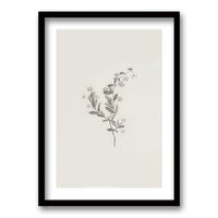 Cuadro Minimal Plants