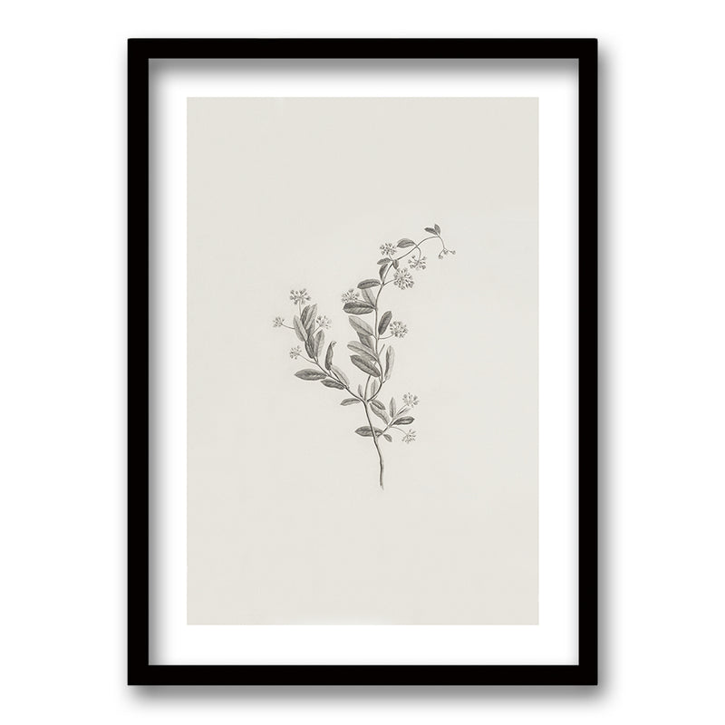 Cuadro Minimal Plants