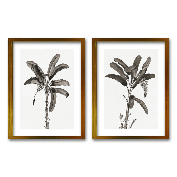Cuadro Duo Palmeras