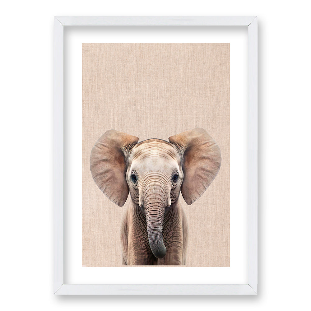 Cuadro Elefante y Leon