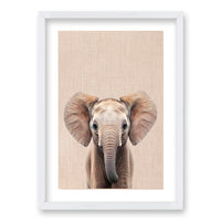 Cuadro Elefante y Leon