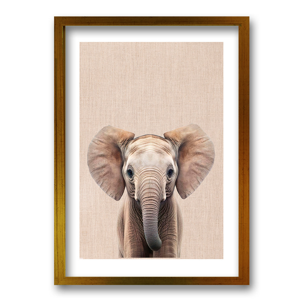 Cuadro Elefante y Leon