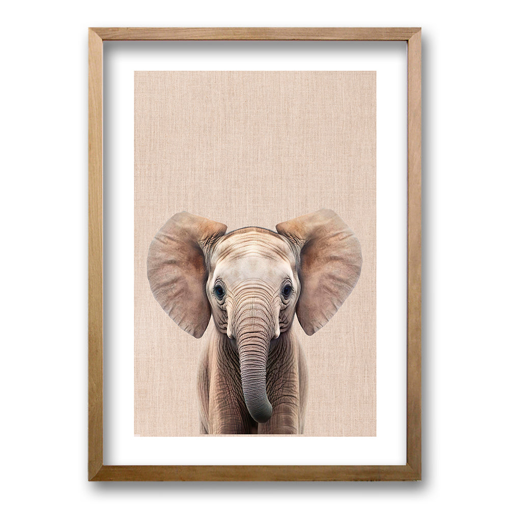 Cuadro Elefante y Leon