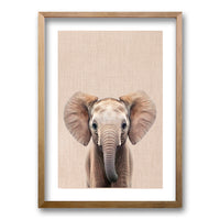 Cuadro Elefante y Leon
