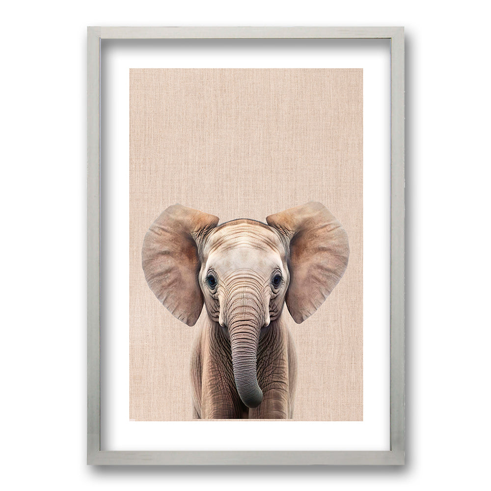 Cuadro Elefante y Leon