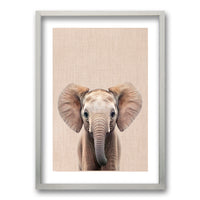 Cuadro Elefante y Leon
