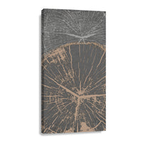 Canvas Crecimiento en Matices III