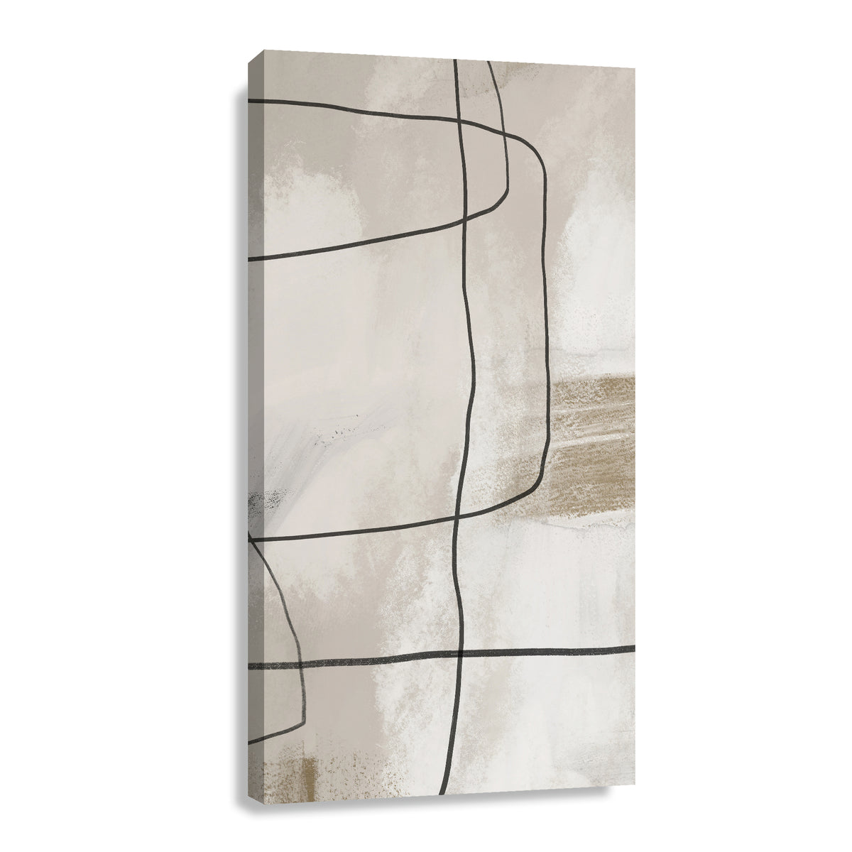 Canvas Modelo 350
