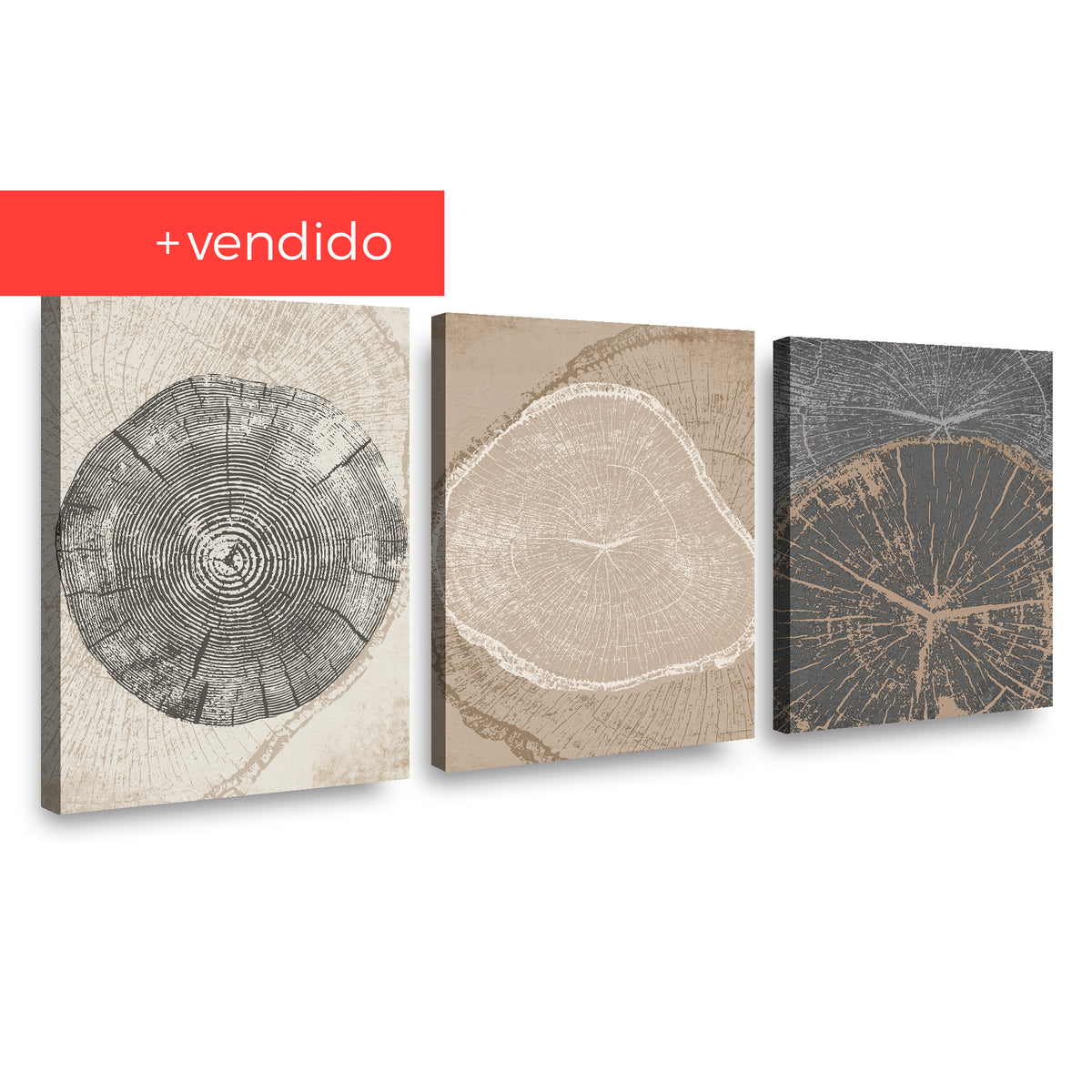 Canvas Trio Crecimiento en Matices