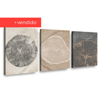 Canvas Trio Crecimiento en Matices
