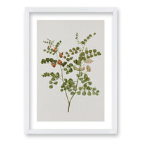 Cuadro Plants III