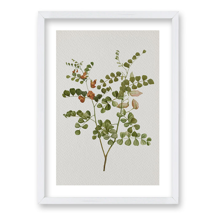 Cuadro Plants III