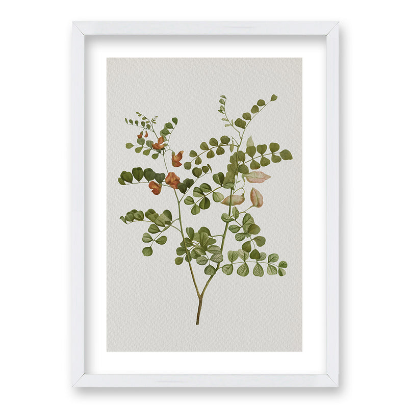 Cuadro Plants III