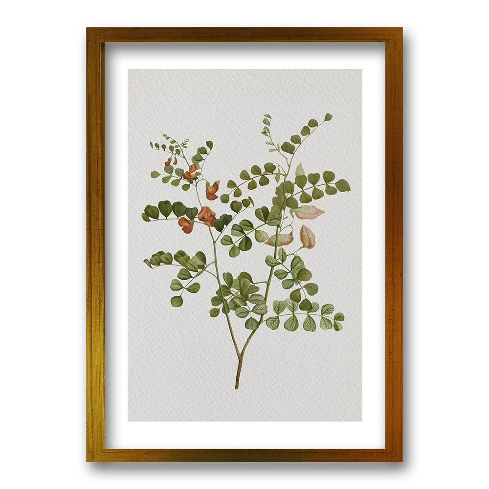 Cuadro Plants III