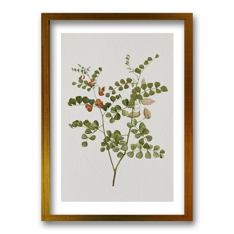 Cuadro Plants III